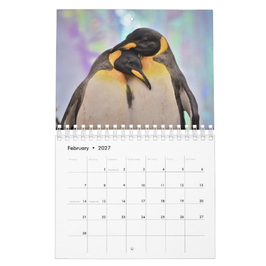 Penguin Kalender (Feb 2027)