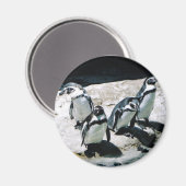 Penguin Magnet Magneet (Voorkant / Achterkant)