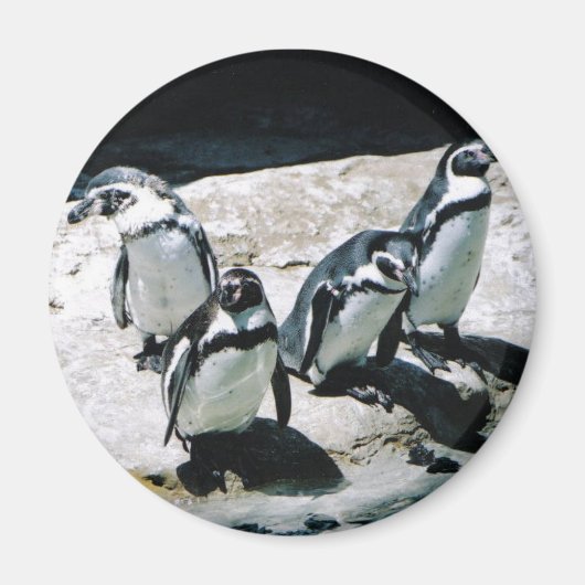 Penguin Magnet Magneet (Voorkant)