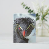 Penguin met rode ogen briefkaart (Staand voorkant)