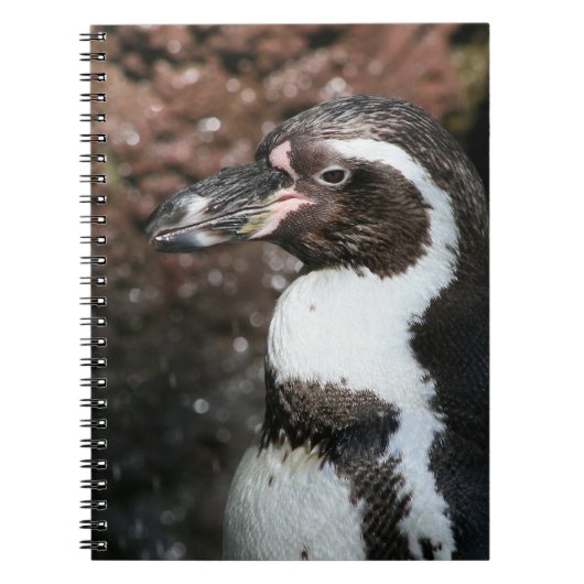 Penguin Notitieboek (Voorkant)