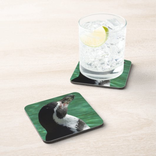 Penguin Onderzetters (Rechterzijde)