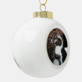 Penguin Ornament (Links)