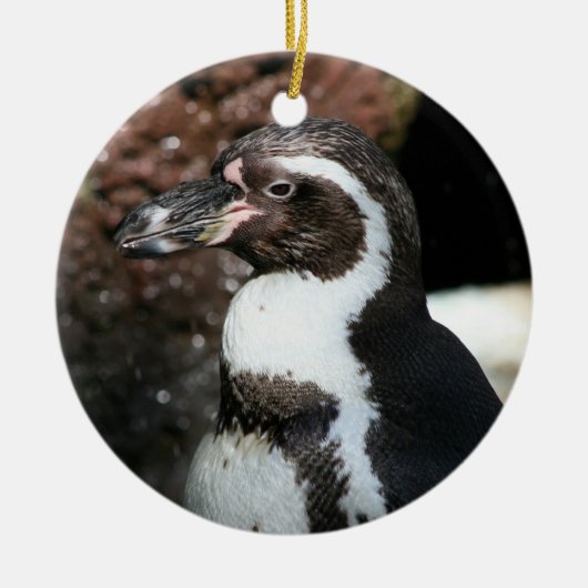 Penguin Ornament (Voorkant)