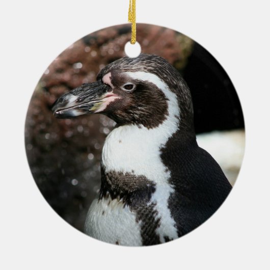 Penguin Ornament (Achterkant)