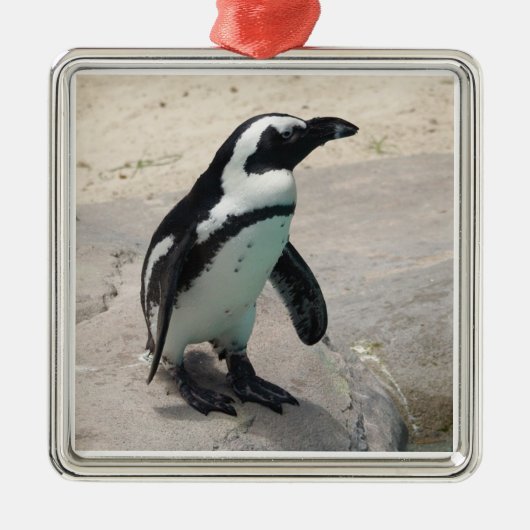 Penguin Ornament (Voorkant)