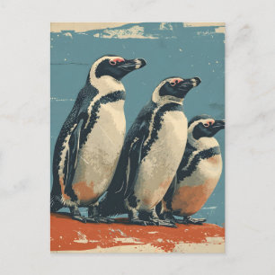 Penguin Paradise:  Briefkaart