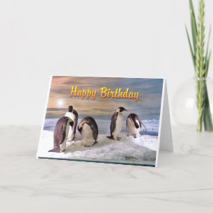 Penguin Photo Happy Birthday Kaart