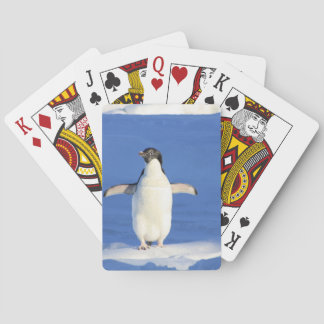 Penguin Pokerkaarten