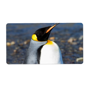 Penguin Portrait Etiket