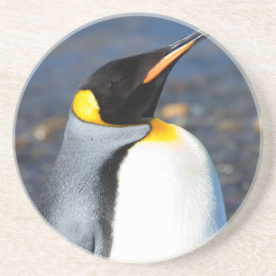 Penguin Portrait Zandsteen Onderzetter