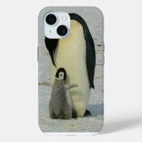 Penguin regardant le poussin