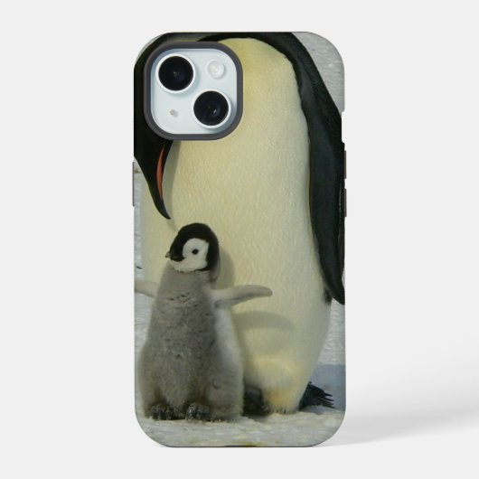 Penguin regardant le poussin (Verso)