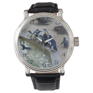 Penguin Relay: Penguin Flock Swim Team, Horloge