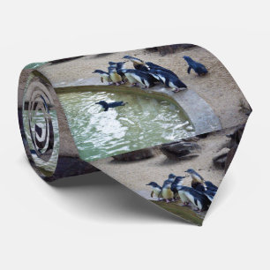 Penguin Relay: Penguin Flock Swim Team, Stropdas