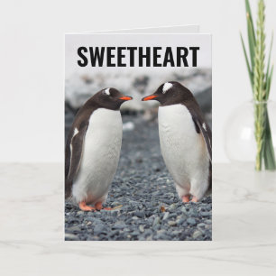 PENGUIN ROMANTIC BIRTHDAY CARDS KAART