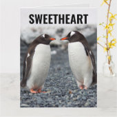 PENGUIN ROMANTIQUE GRANDE CARTE D'ANNIVERSAIRE (Fleur jaune)