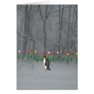 Penguin Spring Walk