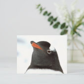 Penguin-tastic Briefkaart (Staand voorkant)