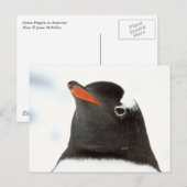 Penguin-tastic Briefkaart (Voorkant / Achterkant)