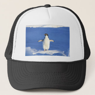 Penguin Trucker Pet