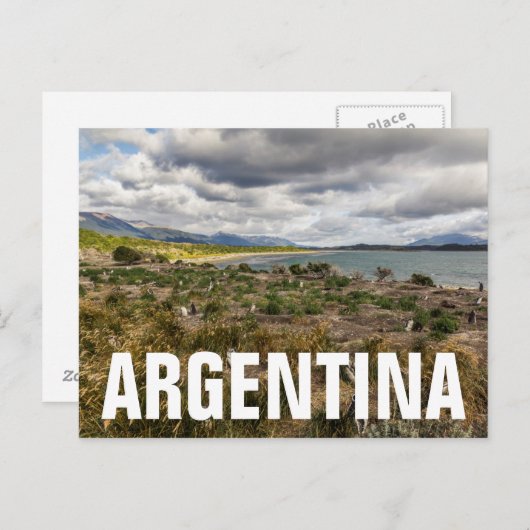 Penguinera Briefkaart (Voorkant / Achterkant)