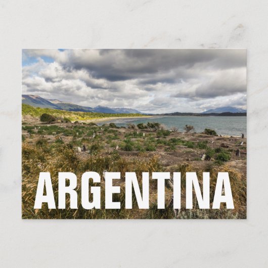 Penguinera Briefkaart (Voorkant)