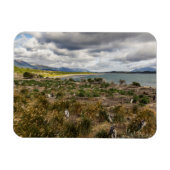 Penguinera Magneet (Horizontaal)