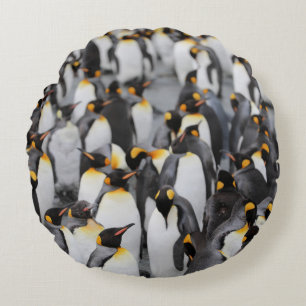 PENGUINES ROND KUSSEN