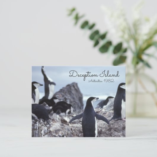 Penguins Antarctica Deception Island Briefkaart (Staand voorkant)