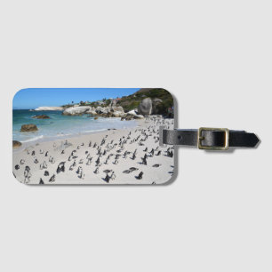 Penguins Boulders Beach Zuid-Afrika Bagagelabel