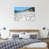 Penguins Boulders Beach | Zuid-Afrika Canvas Afdruk (Insitu (Slaapkamer))