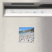 Penguins Boulders Beach | Zuid-Afrika Magneet (Insitu (Vaatwasser))