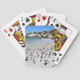 Penguins Boulders Beach Zuid-Afrika Pokerkaarten