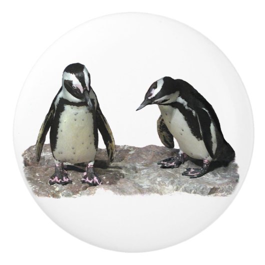 Penguins Ceramic Knob. Keramische Knop (Voorkant)