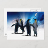 Penguins dans briefkaart (Voorkant / Achterkant)
