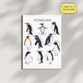 Penguins Educatief Poster Perfect Poster