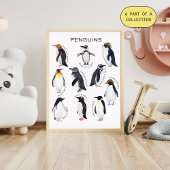 Penguins Educatief Poster Perfect Poster