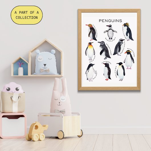 Penguins Educatief Poster Perfect Poster
