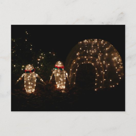 Penguins Holiday Light Display Feestdagenkaart (Voorkant)