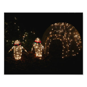 Penguins Holiday Light Display Foto Afdruk