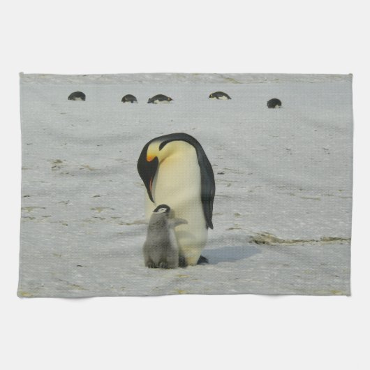 Penguins Kitchen Towels Theedoek (Horizontaal)
