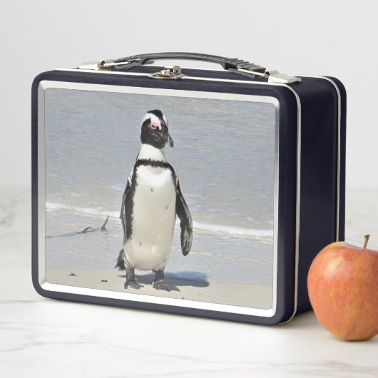 Penguins Metal Lunch Box (In situ)