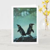 Penguins on Rock Portrait Kaart (Gele Bloem)