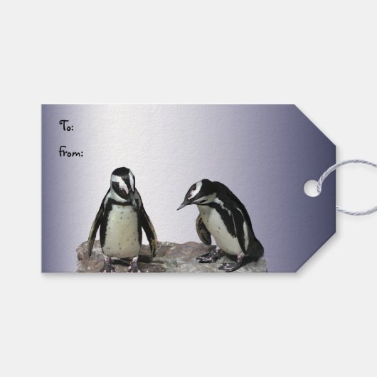 Penguins Pack met cadeautjes Labels Cadeaulabel (Voorkant (Horizontaal))