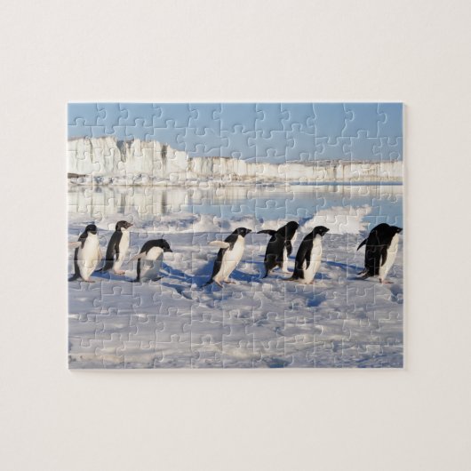 Penguins Puzzle Legpuzzel (Horizontaal)