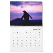 Penguins Wall Calendar Kalender (Jan 2026)