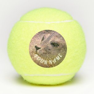 Penn Cup TENNIS BALL SEAL Tennisballen