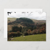 Pennant Valley Wales Briefkaart (Voorkant / Achterkant)