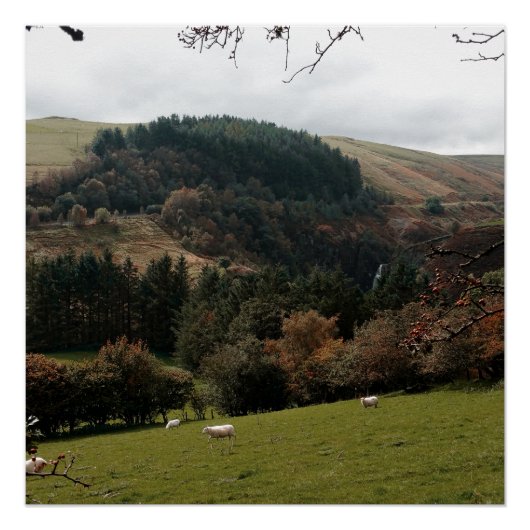 Pennant Valley Wales Perfect Poster (Voorkant)